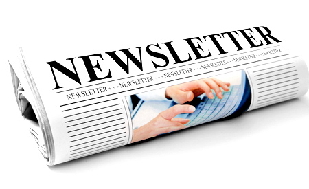 Newsletter - Agustus 2024